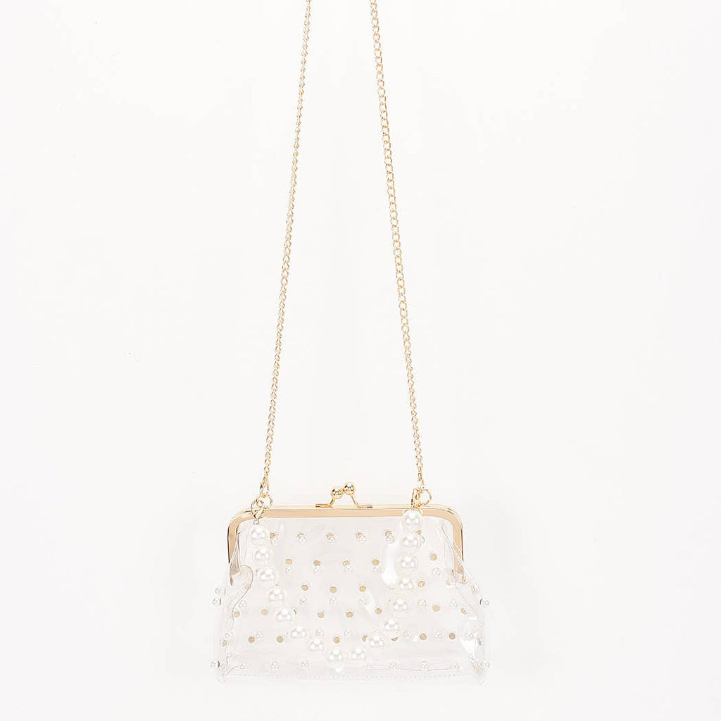 Clear Mini Purse Clutch