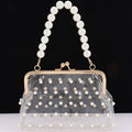 Clear Mini Purse Clutch